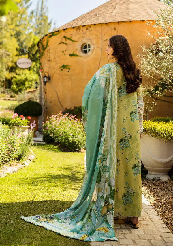 Elaf ALLURE Luxury Chikankari Embroidered Lawn 3 Piece Dress